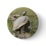 Pond Turtle Badge / Pin / Button