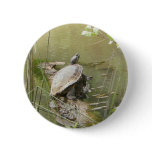 Pond Turtle Badge / Pin / Button (2)
