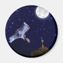 Ponder The Moon Magnets