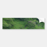 Ponds Bushes Trails Bumper Stickers