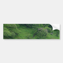 Ponds Bushes Trails Bumper Stickers
