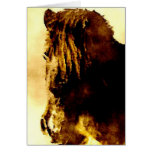 Poney de Shetland Cartes De Vœux