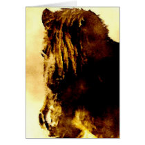 Poney de Shetland cartes