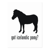 Poney islandais cartes postales