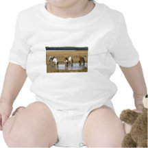 Poney sauvage barboteuse