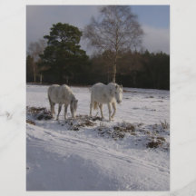 Poneys dans la neige prospectus personnalisés