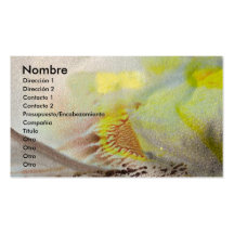 Ponle nombre a tu tarjeta de presentación business card templates