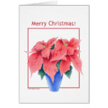Ponsettia Christmas Card