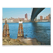 Pont de Manhattan Photographes
