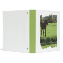 Pony Binder