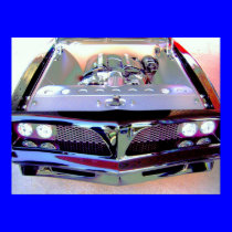 Pony Car, Many Horses posters