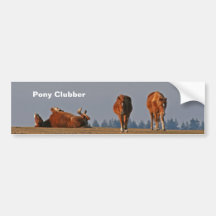 Pony Clubber bumper sticker