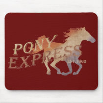 Pony Express Vintage
