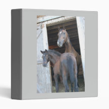 Pony/Horse Binders
