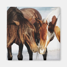 Pony Love Refrigerator Magnets