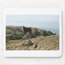 pony on the cliff mouse pads