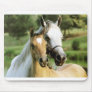 Pony Pad Mouse Mats