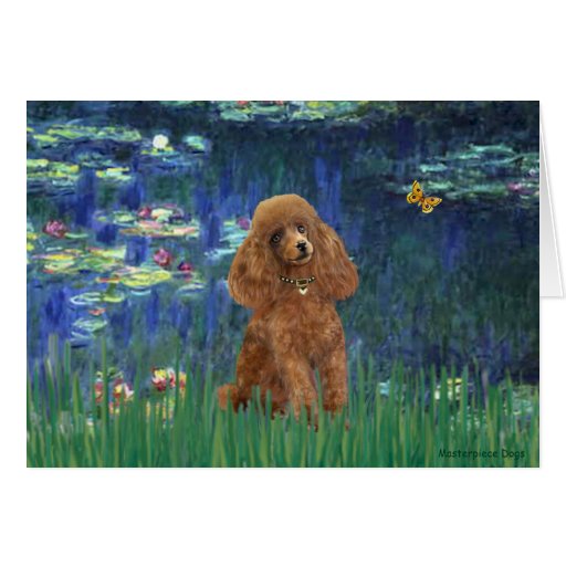 Poodle (Apricot 10) - Lilies 5 Card