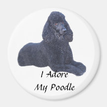 Poodle Black Magnet I Adore