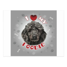 Poodle Black Post Card