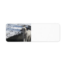 Poodle by the Snow Labels