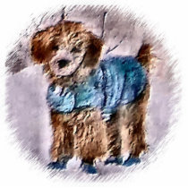 Poodle Christmas Gifts Ornament Photo Cutout