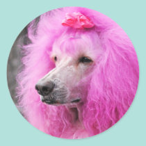 Poodle Day 2010 #11 stickers