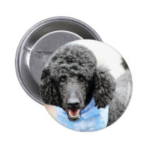 Poodle day 2010 #17 buttons