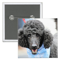 Poodle day 2010 #17 buttons
