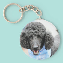 Poodle day 2010 #17 keychains