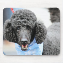 Poodle day 2010 #17 mousepads