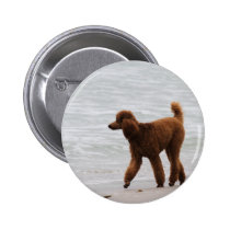 Poodle Day 2010 #18 buttons
