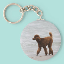 Poodle Day 2010 #18 keychains