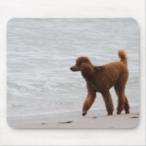 Poodle Day 2010 #18 mousepads