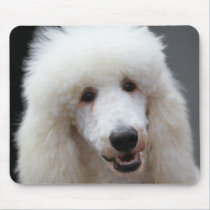Poodle Day 2010 #4 mousepads