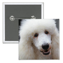 Poodle Day 2010 #4 buttons