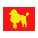 Poodle dog (yellow)