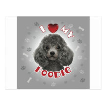 Poodle Grey Postcard