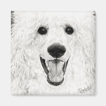 Poodle Magnet - "Jolly Boy"