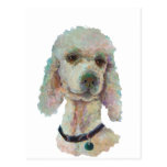 Poodle Pride and Pet Me Products Postcard