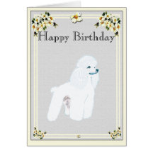 Poodle - Toy Poodle Cards