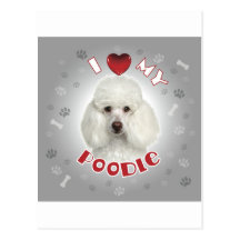 Poodle White Post Card