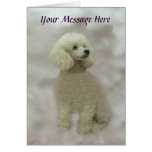 Poodles Are Heavenly Greeting Card
