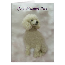 Poodles Are Heavenly Greeting Card