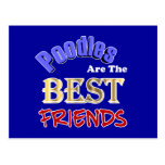 Poodles Are The Best Friends Post Card