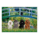 Poodles (four) - Bridge Greeting Card