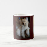 Poodles x 3 Mug