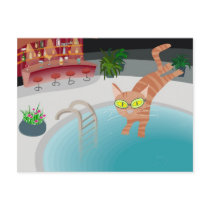 Pool cat postcard