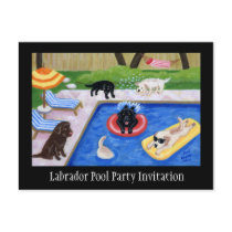 Pool Party Labradors