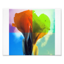 Pop art Flower in different colour quads retro loo Photo Art